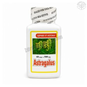 Астрагал 500 мг х 60 капс. – TNT Astragalus 500 mg x 60 Capsules TNT